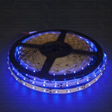 Светодиодная лента LS60 3528 IP20 синий свет