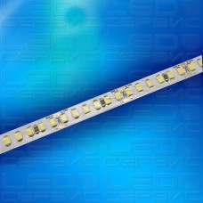 Светодиодная лента LS120 2835 24V IP20 холодный свет Premium