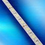 Светодиодная лента LS60 5050 IP55 холодный свет